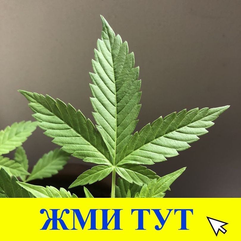 Купить наркотики в Чулыме